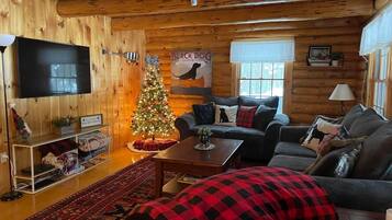 Smart TV, fireplace, video games, DVD player