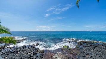 A rocky shoreline with ocean waves, clear sky, and a palm tree.