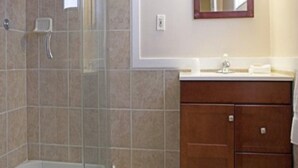 Une salle de bain avec une douche, un lavabo et un miroir.
