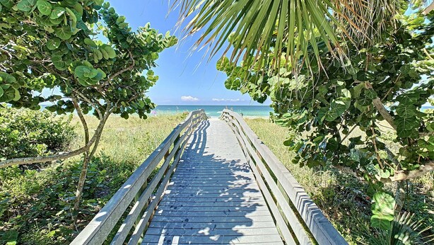 Un paseo marítimo de madera que lleva a una playa flanqueada por palmeras.