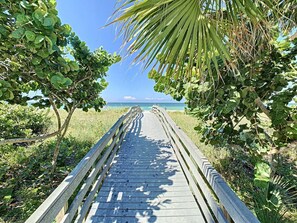 A wooden boardwalk leading to a beach with palm trees on either side.