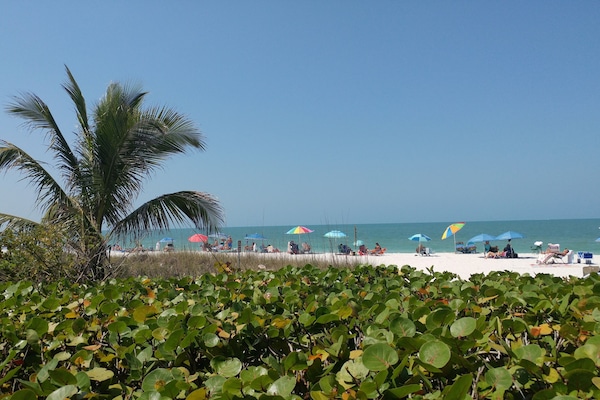 Barefoot Beach