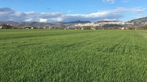 A wide, open field with a distant view of a town and mountains. - The pigsty in the valley of Assisi (Assisi)