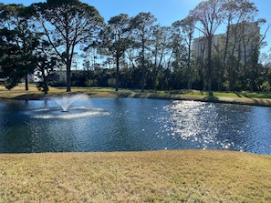 Surrounded by a serene grassy area, this tranquil pond features a soothing fountain and a picturesque view of tall trees.