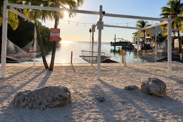 Sillas reclinables de playa, toallas de playa