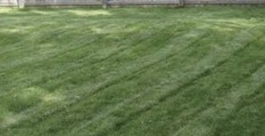 Unclassified image, 3 of 6, button