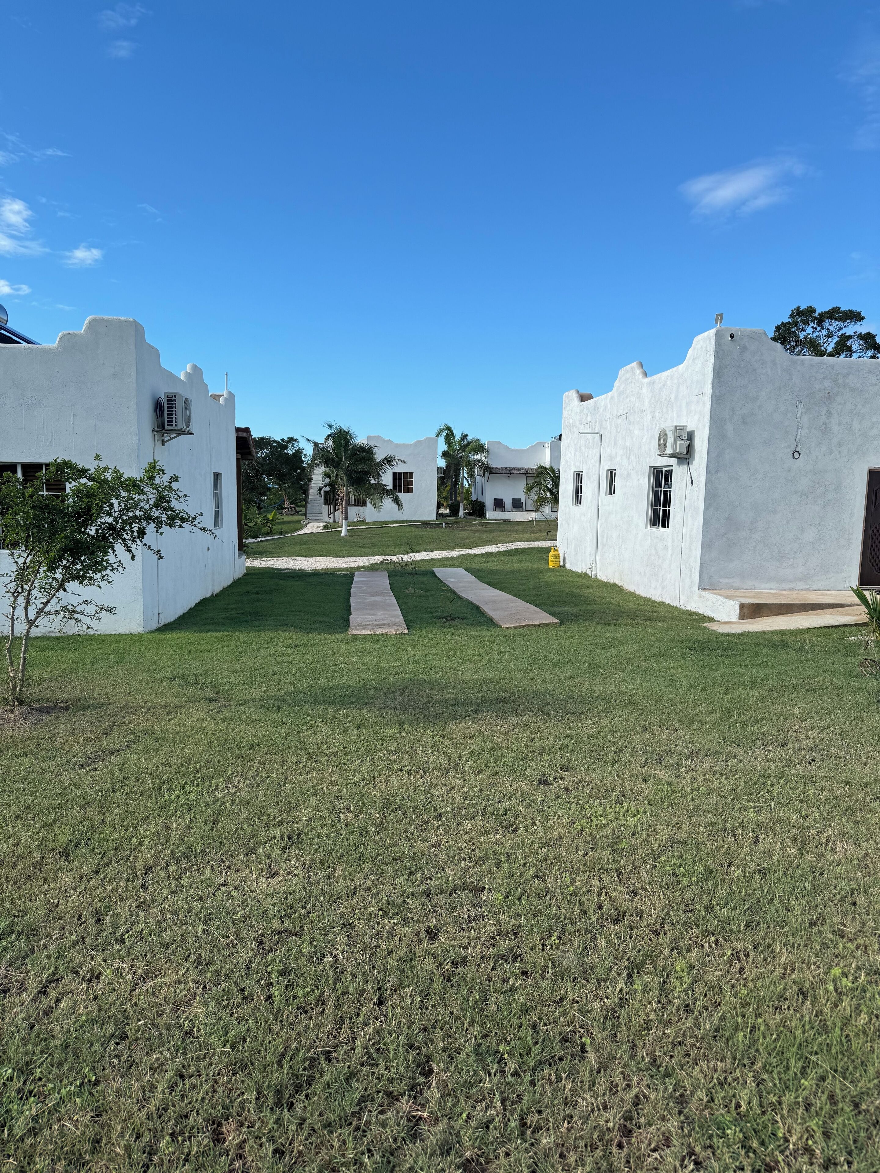 A courtyard with white buildings, a central pathway, and palm trees.