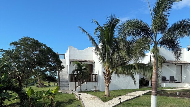 A white building with a gravel pathway leading to a door, surrounded by palm trees and a large tree. - Private 2 bedroom Casitas with pool. Azteca villas (Treasure Beach)