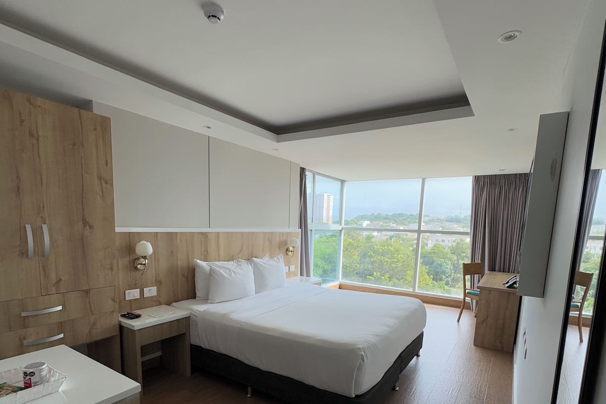 Habitación estándar, 1 cama King size, para no fumadores | Minibar, caja de seguridad en la habitación, escritorio y wifi gratis