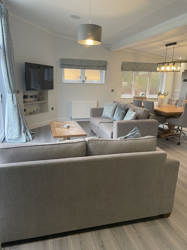 TV connectée, cheminée, chaîne hi-fi