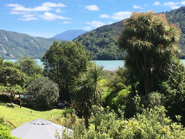 Property grounds - Queen Charlotte Secret Oasis (Linkwater)