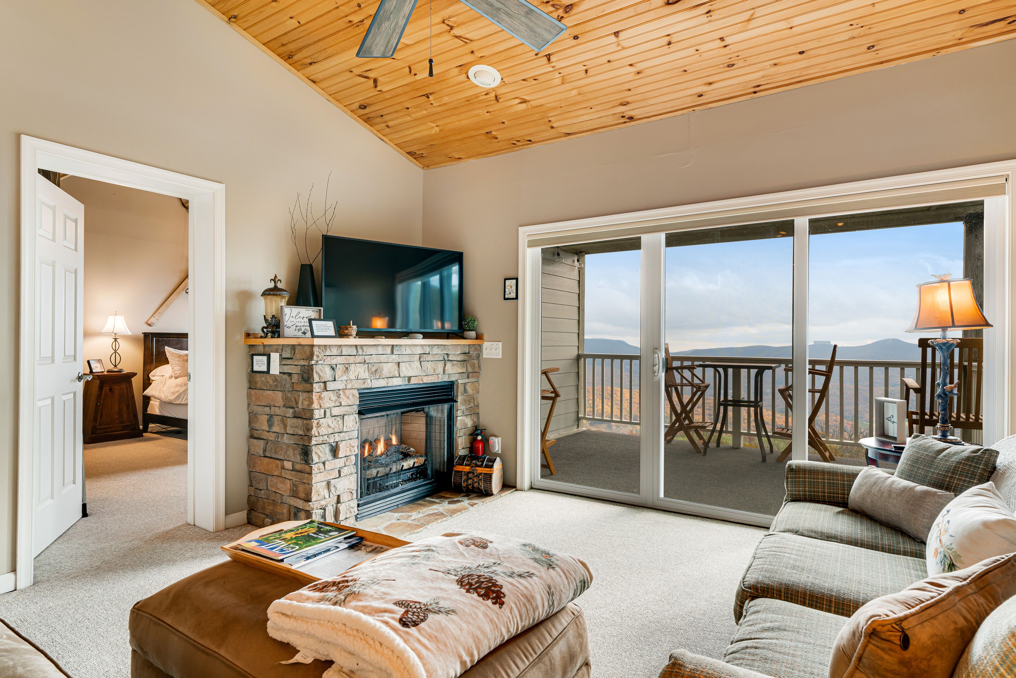 Télévision, cheminée, livres