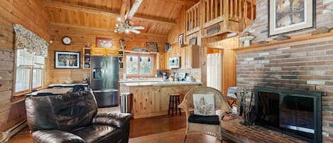 TV, fireplace, books