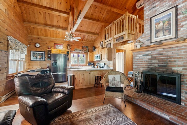 TV, fireplace, books