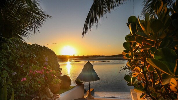 A sunset view from a balcony with a potted plant and a patio umbrella.