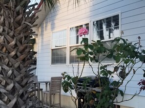 Restauration en plein air