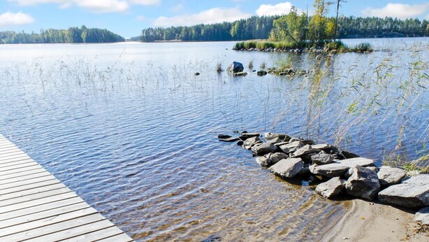 A wooden dock extending into a calm lake with clear water, surrounded by trees and a distant forest. - Suvituuli by Interhome (Liperi)