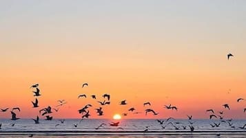 NĂ€ra stranden