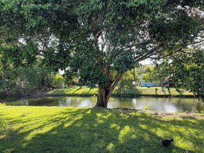 Property grounds - The Black&White Condo (Sunrise)