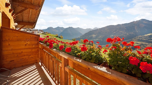 A wooden balcony with a view of mountains and red flowers.