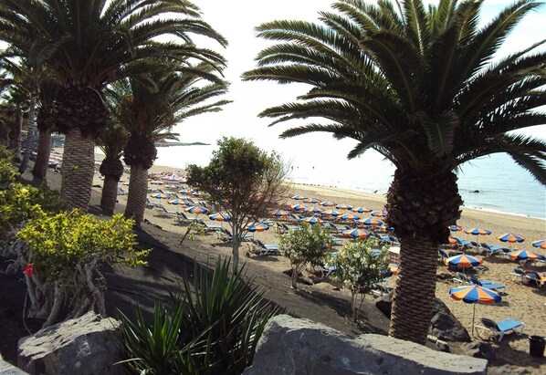 A beach with palm trees, umbrellas, and lounge chairs.
