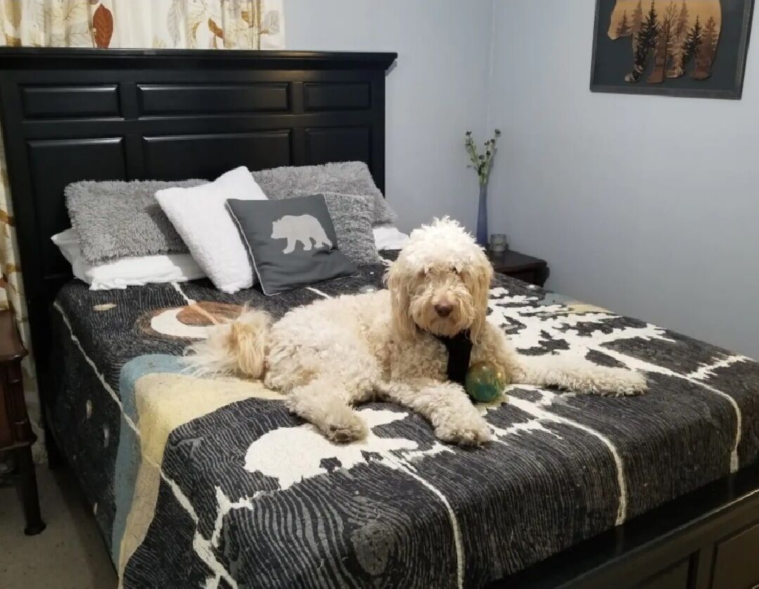 3 bedrooms, desk, iron/ironing board, free WiFi