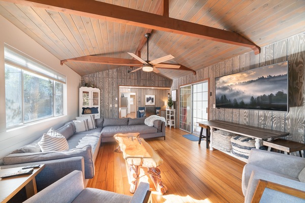 Televisor intel·ligent, llar de foc, llibres i estèreo