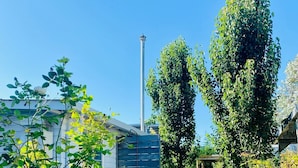 Un jardín residencial con una terraza de madera, una valla de metal y un árbol alto.