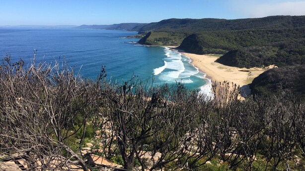 Un paisaje costero con una playa, océano y colinas boscosas.