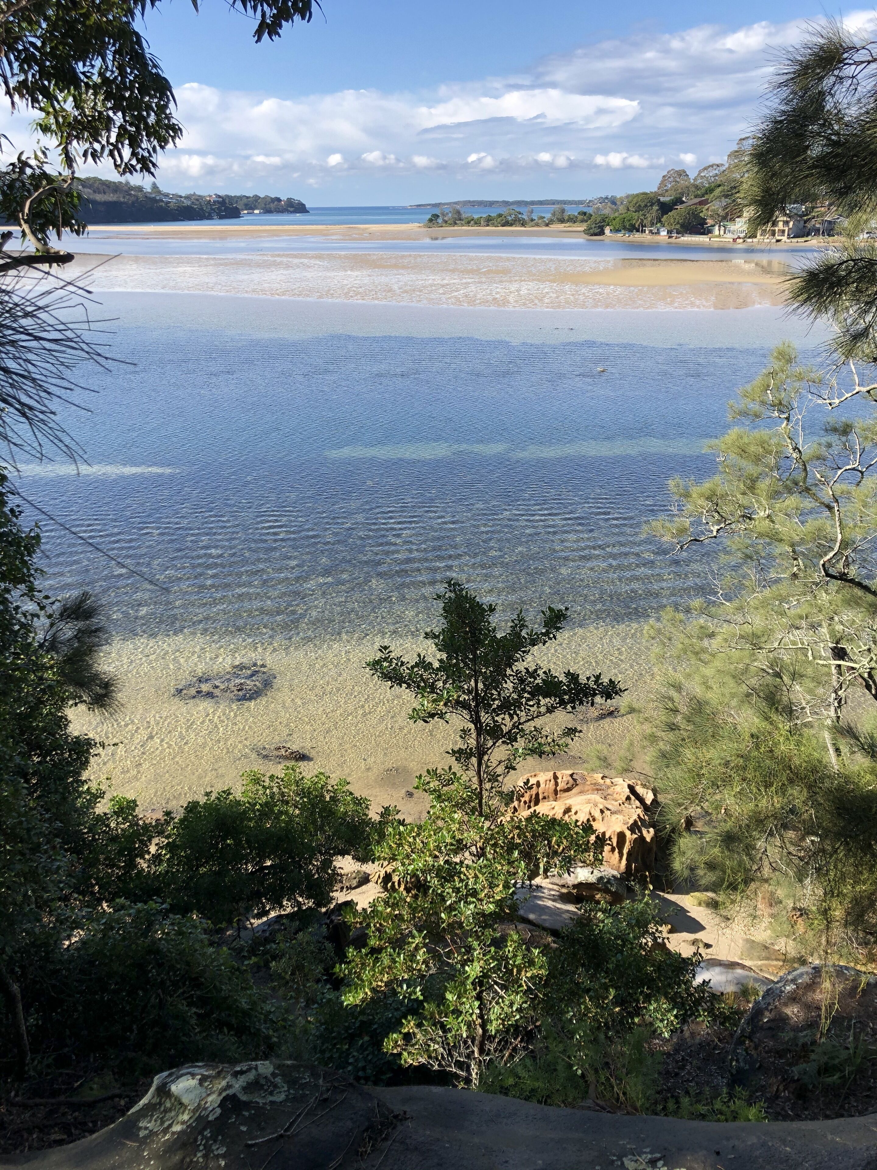 The Garden Studio is a nature lovers retreat — image 23