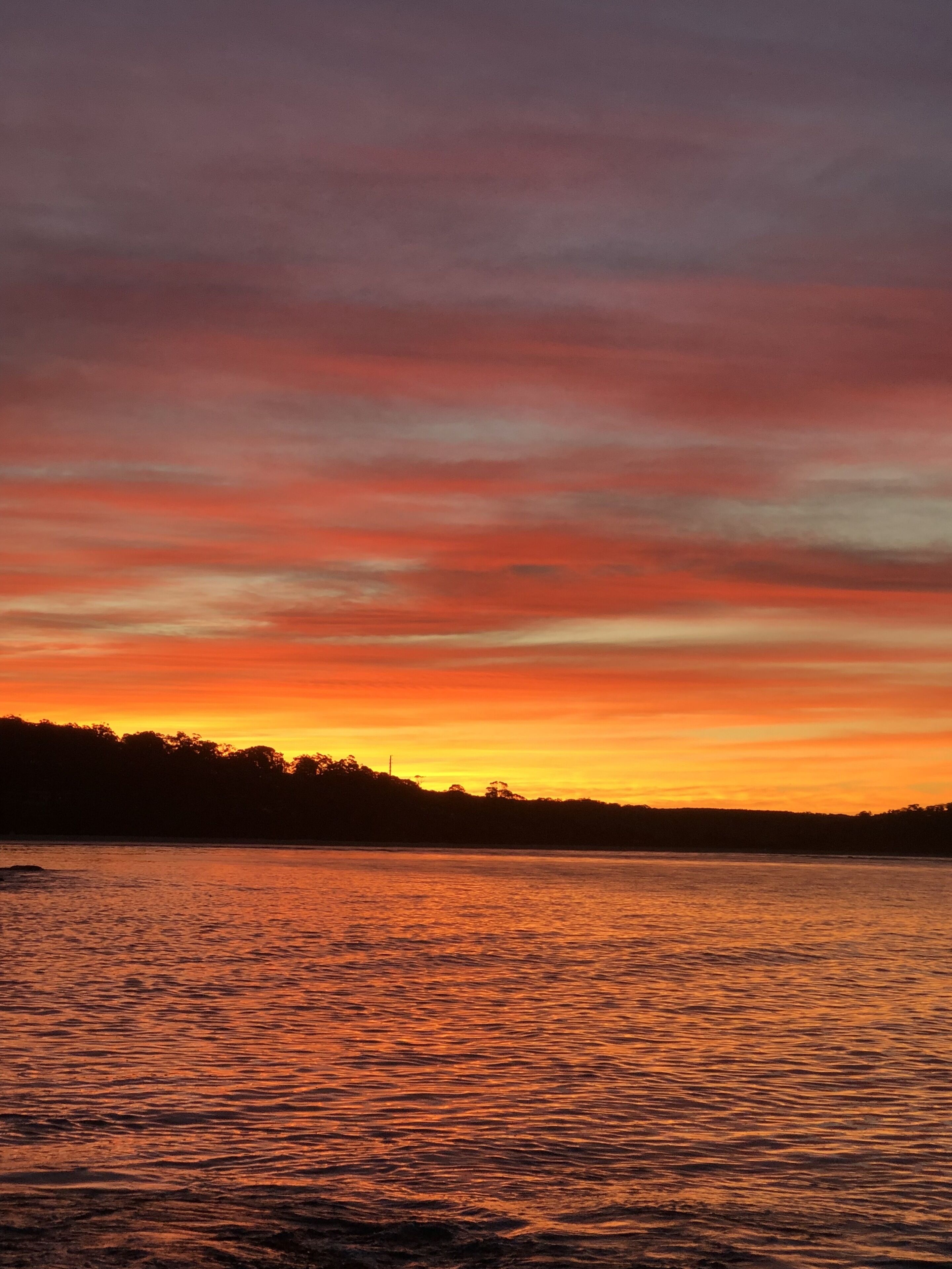 The Garden Studio is a nature lovers retreat — image 29