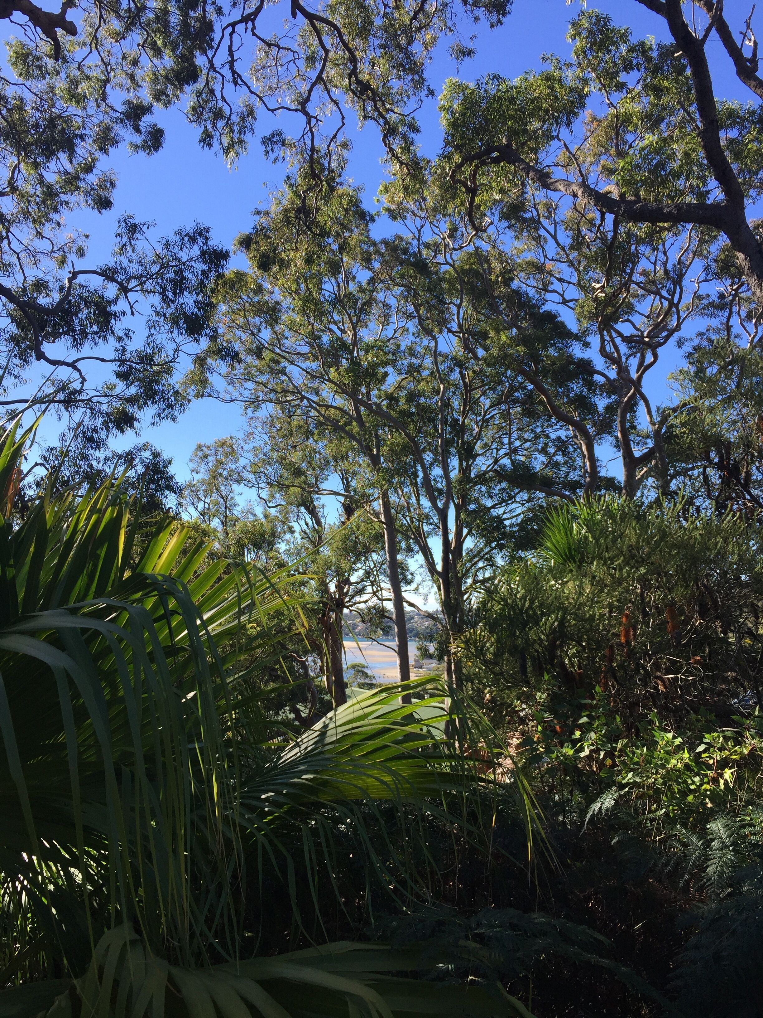 The Garden Studio is a nature lovers retreat — image 26