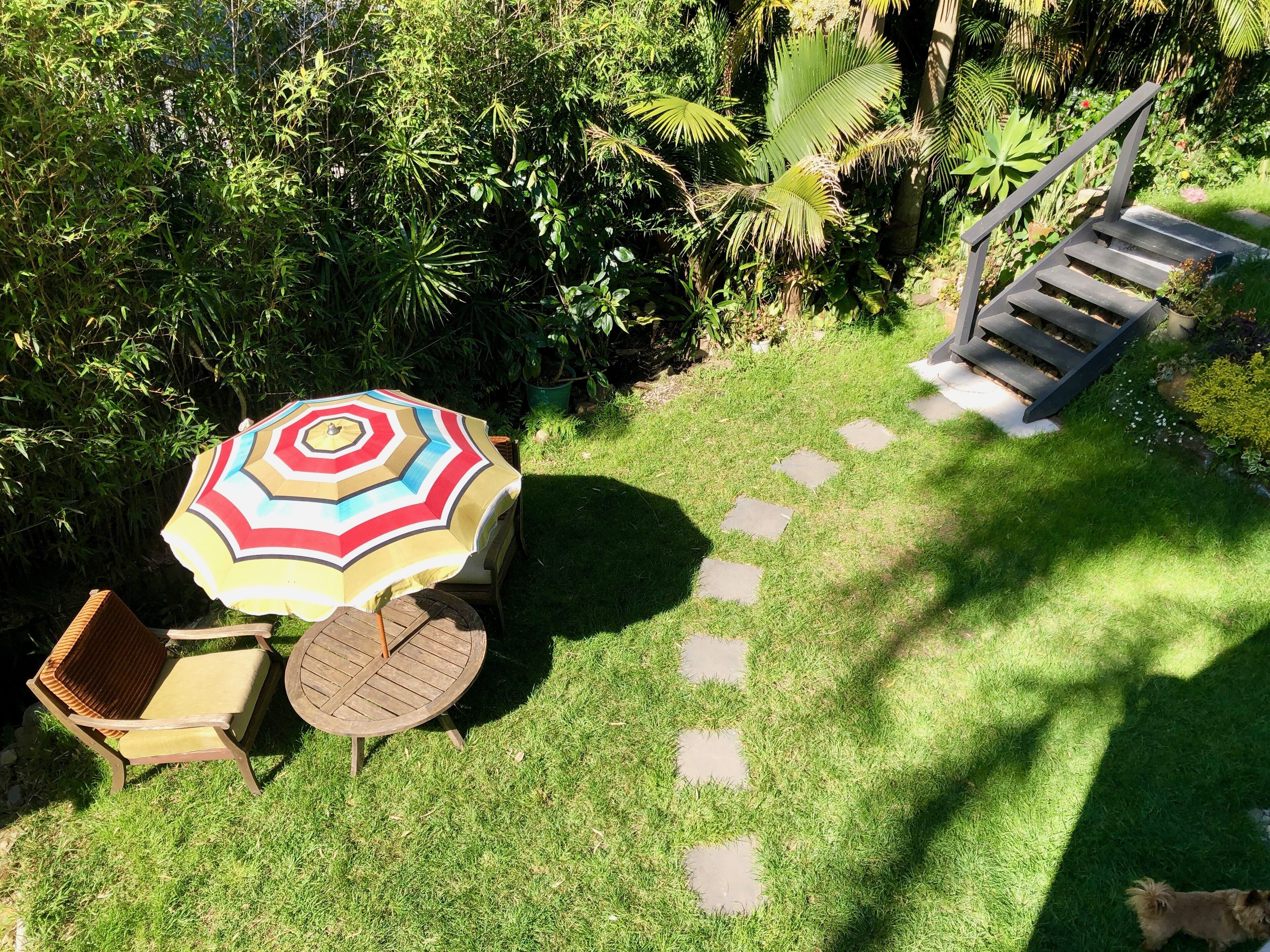 The Garden Studio is a nature lovers retreat — image 21