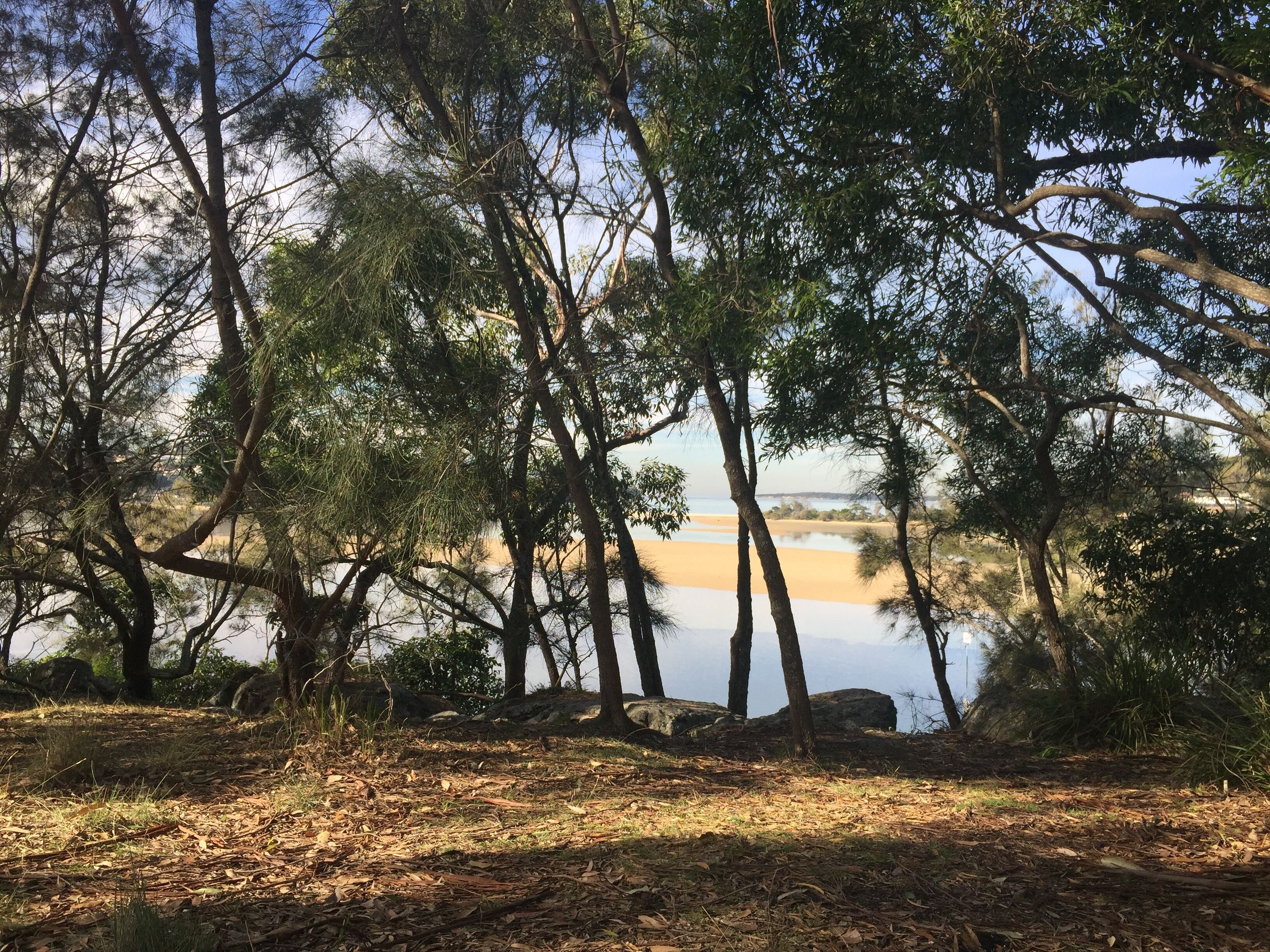 The Garden Studio is a nature lovers retreat — image 22