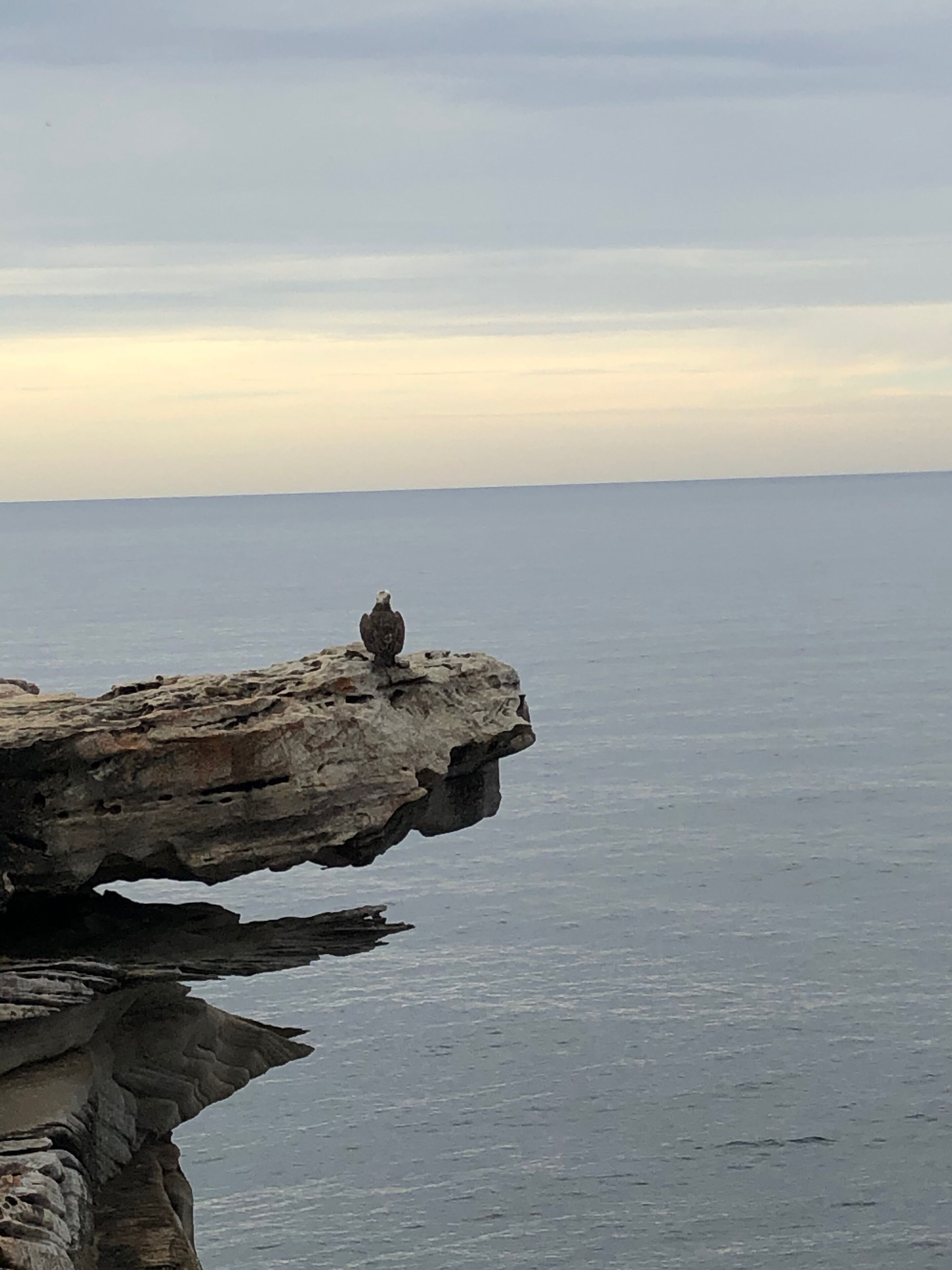 The Garden Studio is a nature lovers retreat — image 28