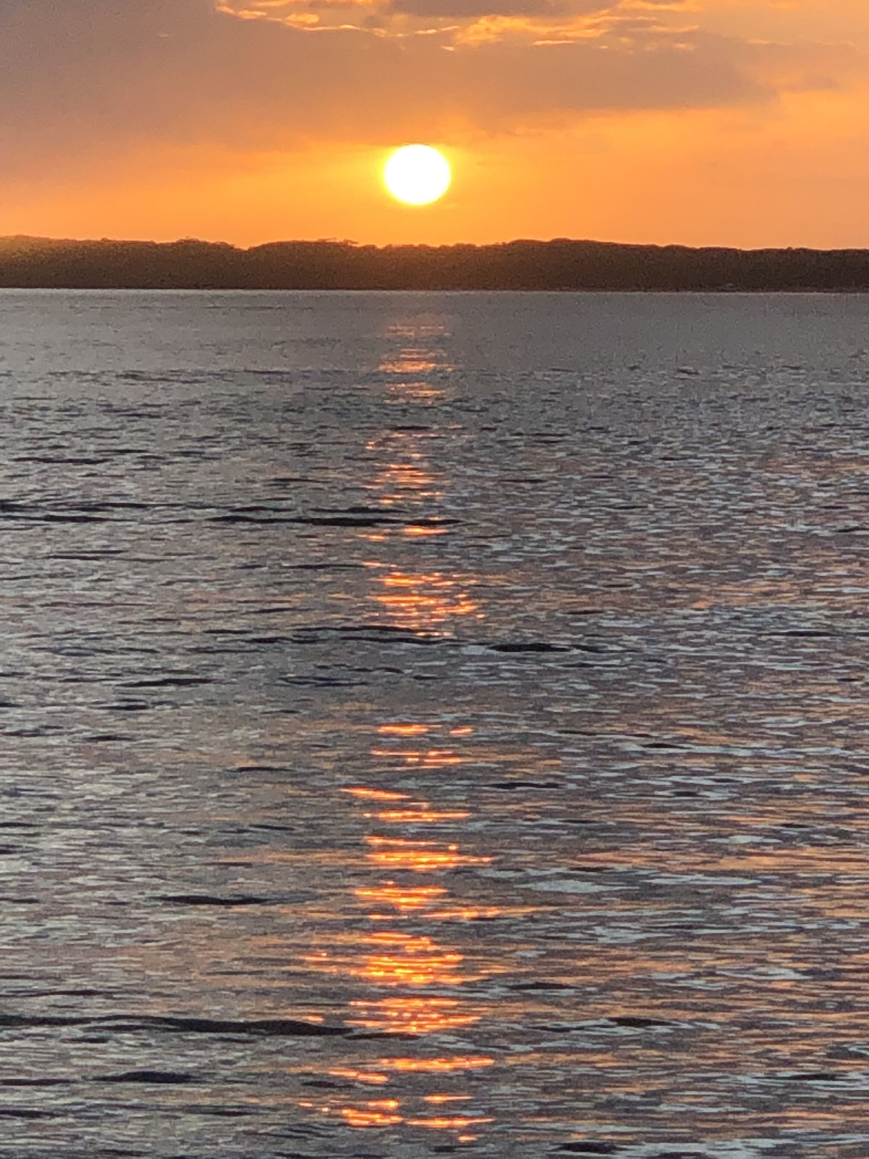 The Garden Studio is a nature lovers retreat — image 24