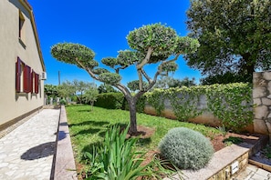 Un jardín bien cuidado con un muro de piedra, un árbol recortado y un arbusto pequeño.
