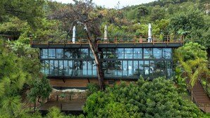 A modern building with large glass windows, surrounded by dense greenery and a wooden deck.
