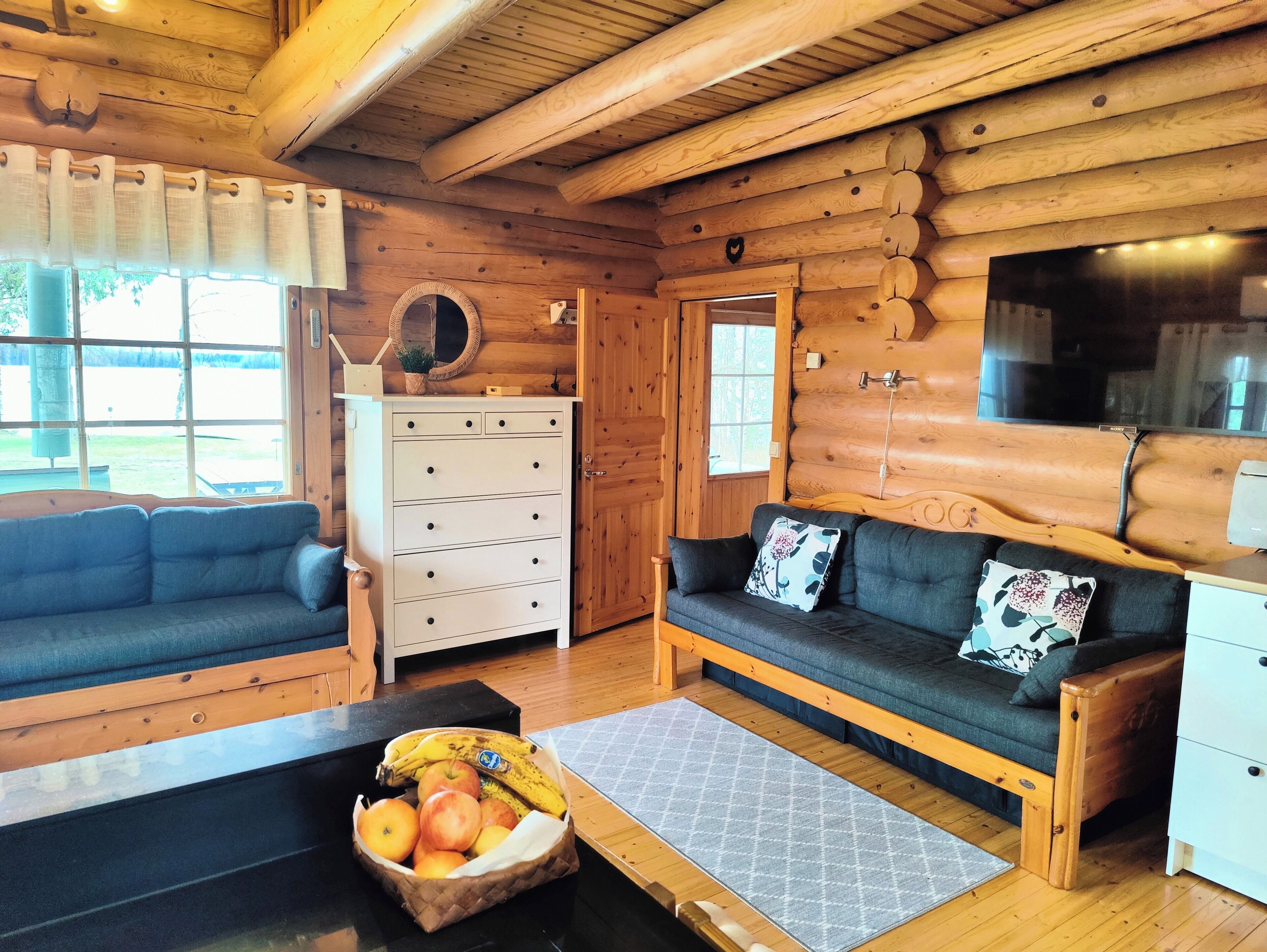 TV connectée, cheminée, lecteur de DVD, livres