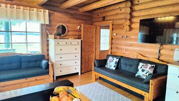 TV connectée, cheminée, lecteur de DVD, livres