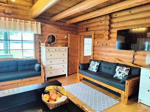 TV connectée, cheminée, lecteur de DVD, livres