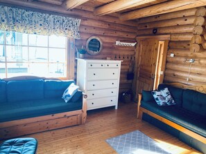 Smart TV, fireplace, DVD player, books