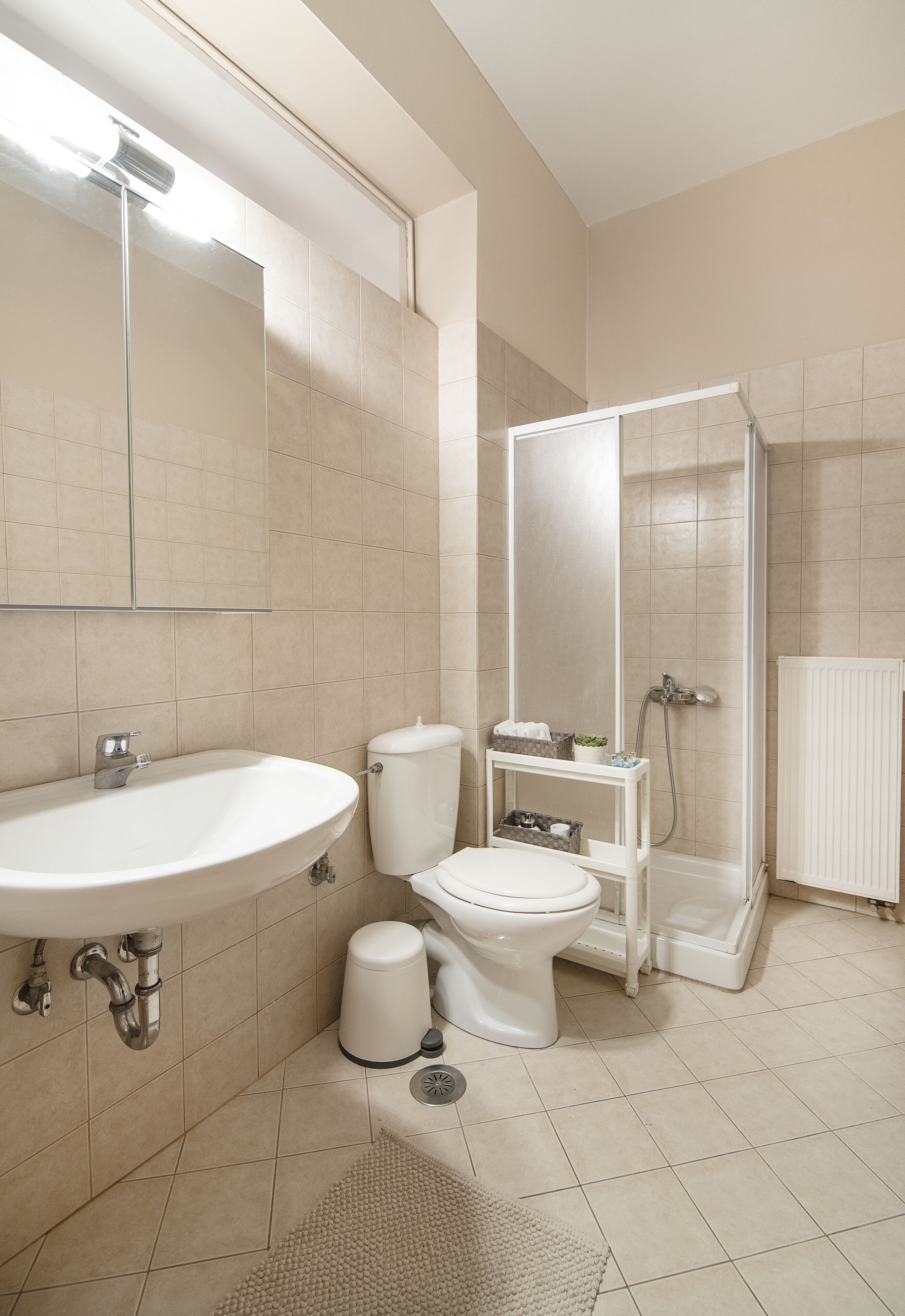A bathroom with a sink, toilet, and shower.