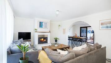 TV, fireplace, Netflix, books