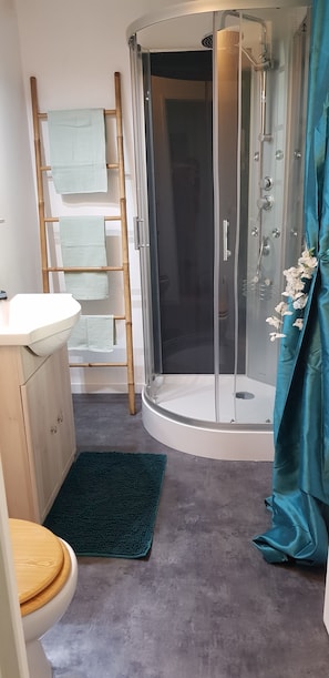 Shower, hair dryer, toilet paper