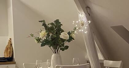 appartement hyper centre de Montfort