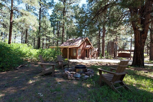 A rustic cabin with a wooden exterior, surrounded by tall pine trees. There are two Adirondack chairs and a fire pit in the foreground. - Pet Friendly Cabin on 3.5 acres between Durango and Purgatory - Fire Pit (Durango)