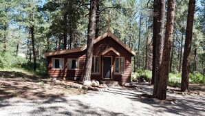 A small cabin surrounded by trees. - Pet Friendly Cabin on 3.5 acres between Durango and Purgatory - Fire Pit (Durango)