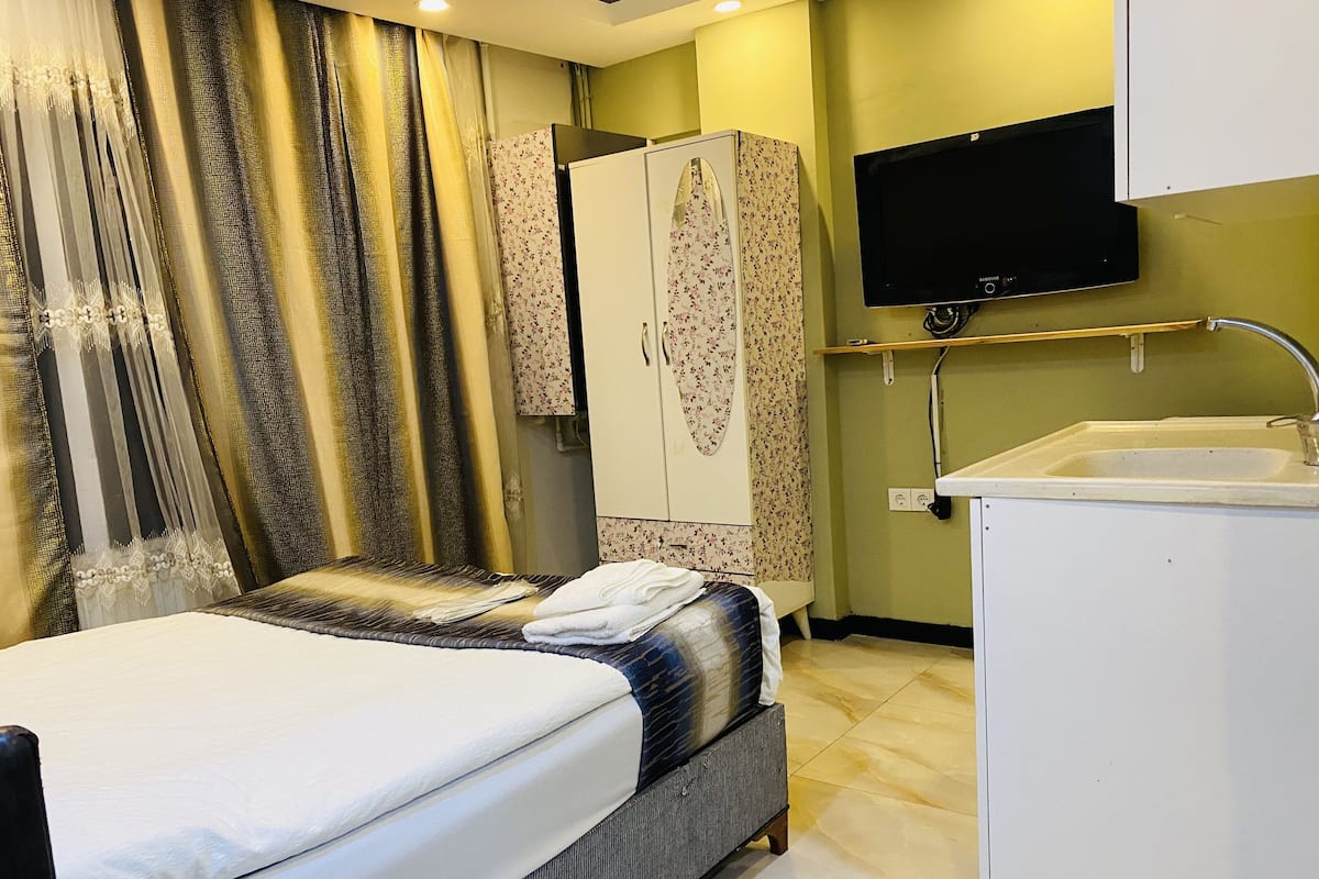 A hotel room with a bed, a wardrobe, a television, and a sink.