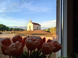 Interior - New villa Casa di Marko with the pool (Privlaka)